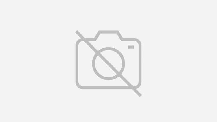 Ultrabalaton befutóérem